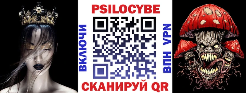 хочу наркоту  Кукмор  Псилоцибиновые грибы Psilocybe 